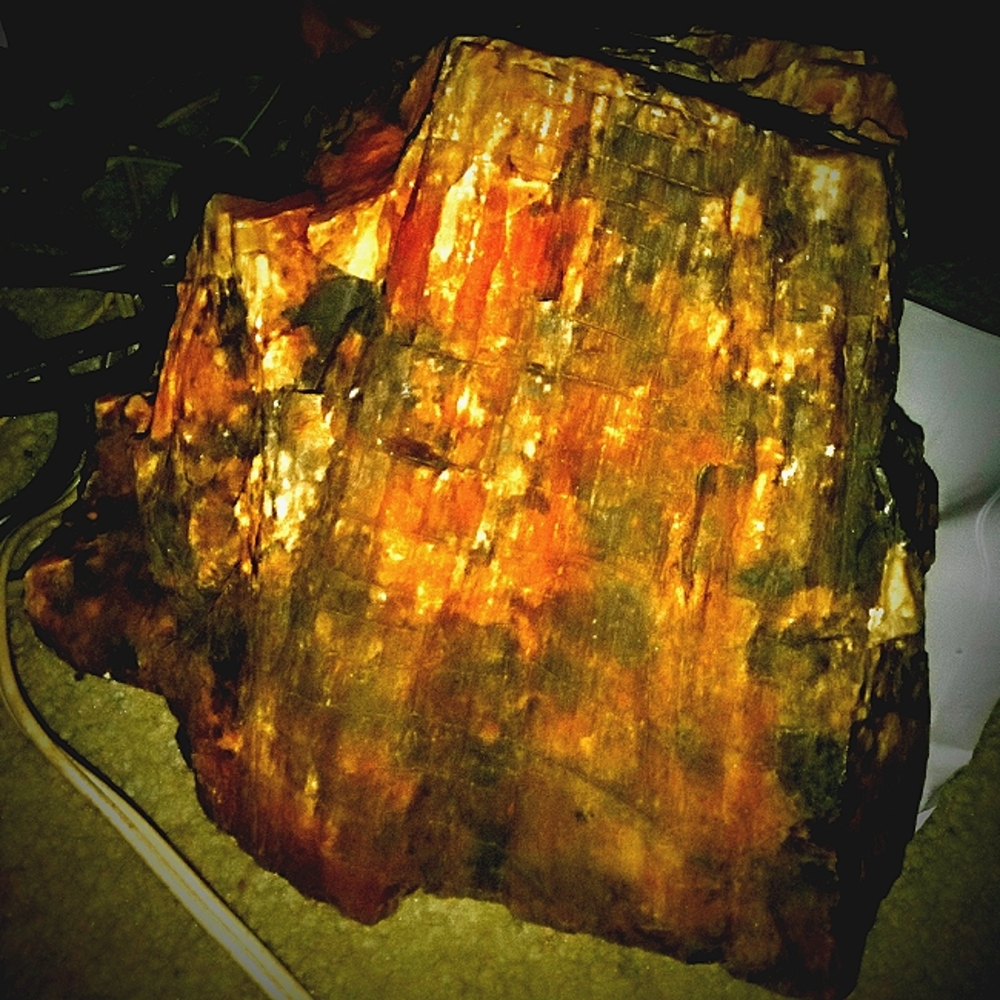 Crystalline wood/ Petrified wood